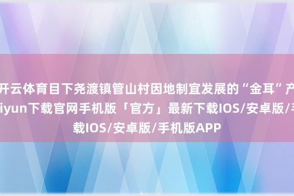 开云体育目下尧渡镇管山村因地制宜发展的“金耳”产业-开云kaiyun下载官网手机版「官方」最新下载IOS/安卓版/手机版APP